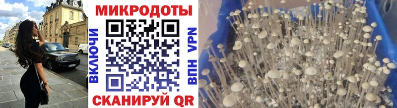кракен зеркало  где купить   Плавск  Псилоцибиновые грибы MAGIC MUSHROOMS 